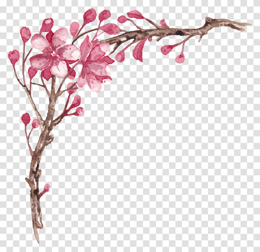 Elegante Pintado A Mano Plum Tree Branches Transparente Elegante, Plant, Flower, Blossom, Cherry Blossom Transparent Png