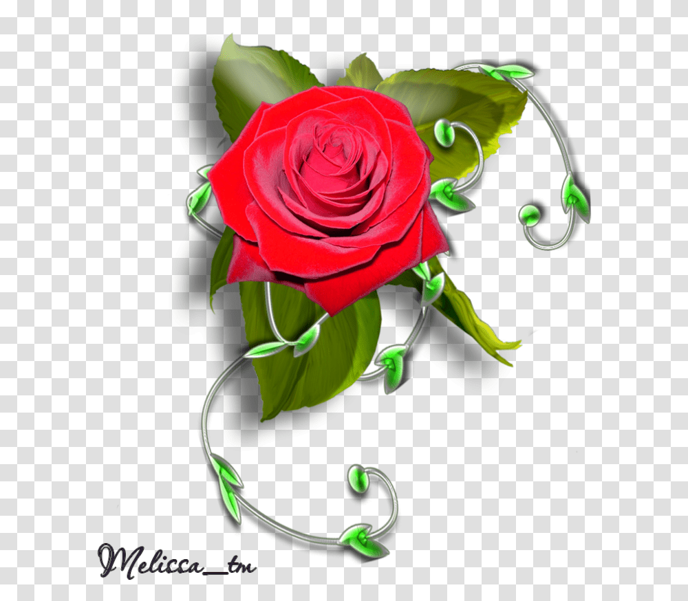 Element Rose With Leaves And Swirl By Melissa Tm Roses Element, Flower, Plant, Blossom Transparent Png