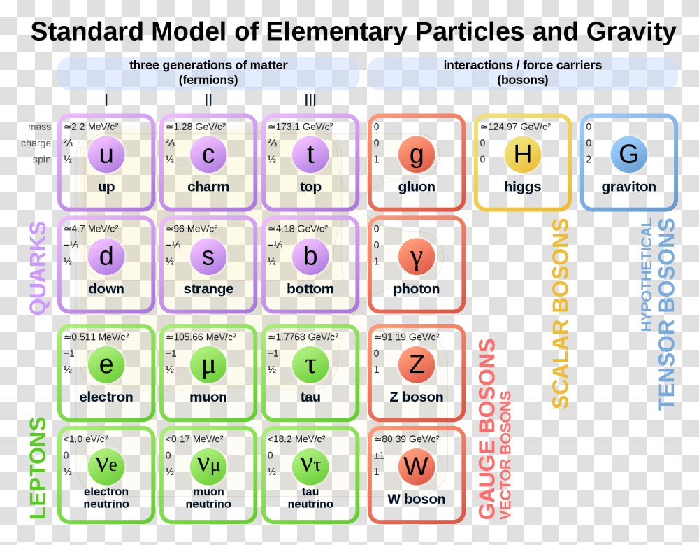 Elementary Particles Gravity Standard Model, Text, Word, Scoreboard, Number Transparent Png