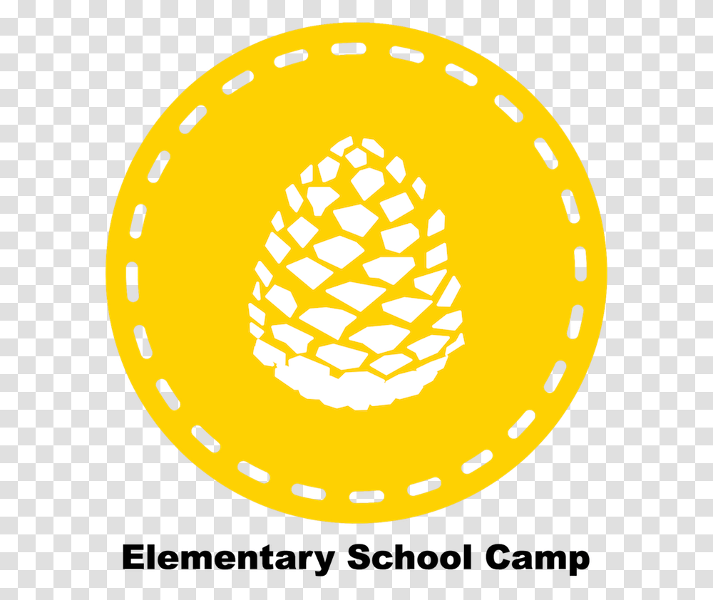 Elementary School Camp Soundcloud, Soccer Ball, Football, Team Sport, Sports Transparent Png