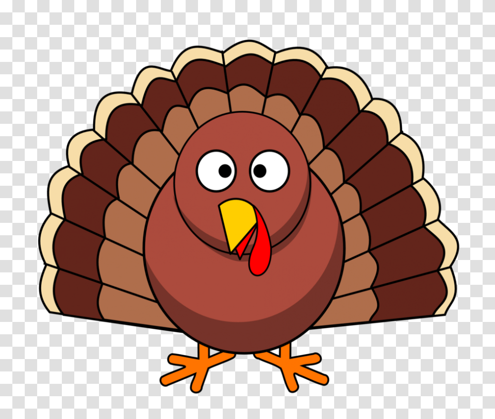 Elementary Thanksgiving Musical Thanksgiving Music Photo, Bird, Animal, Fowl, Poultry Transparent Png