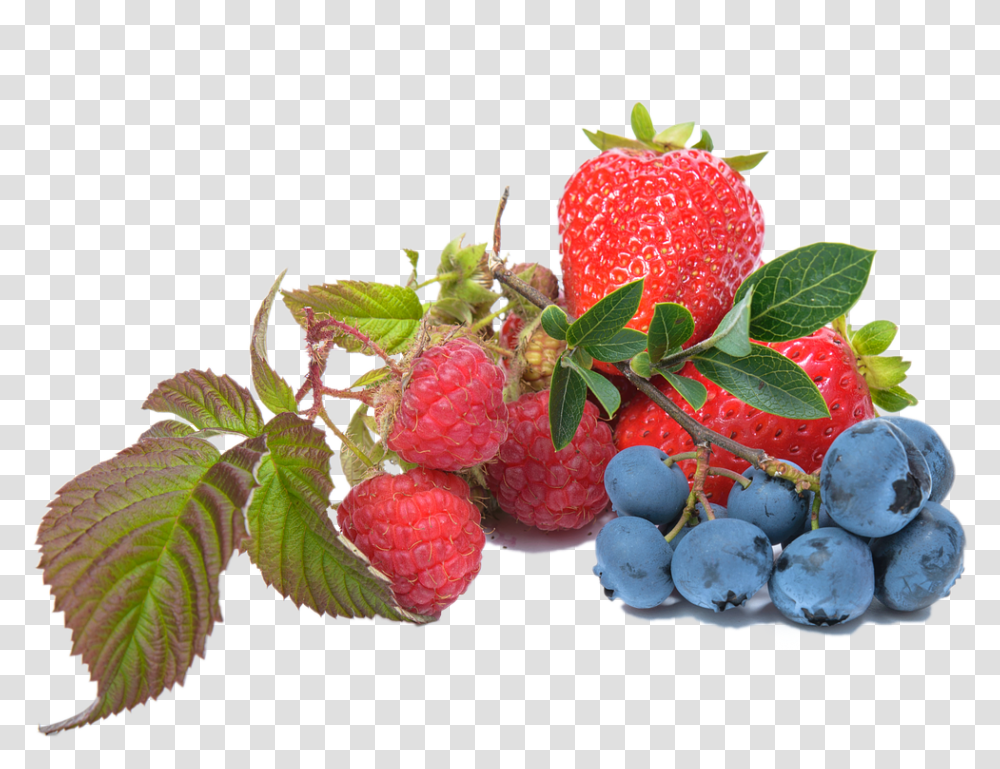 Elements, Plant, Raspberry, Fruit, Food Transparent Png