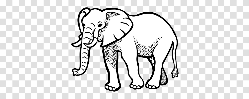 Elephant Animals, Wildlife, Mammal Transparent Png