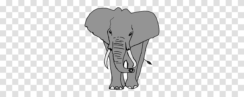 Elephant Nature, Wildlife, Mammal, Animal Transparent Png