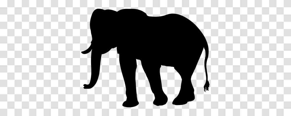 Elephant Animals, Gray, World Of Warcraft Transparent Png
