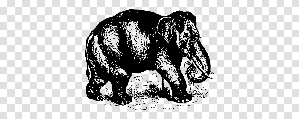 Elephant Animals, Statue Transparent Png