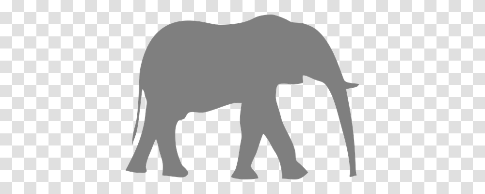 Elephant Animals, Silhouette, Mammal, Wildlife Transparent Png