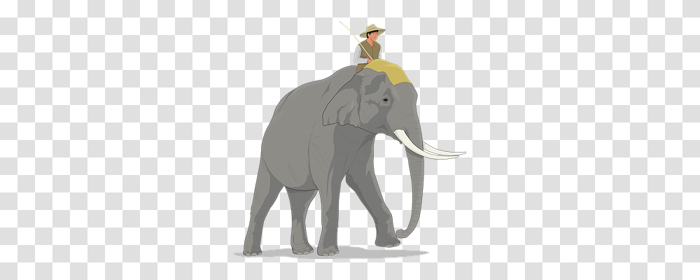 Elephant Holiday, Person, Human, Mammal Transparent Png