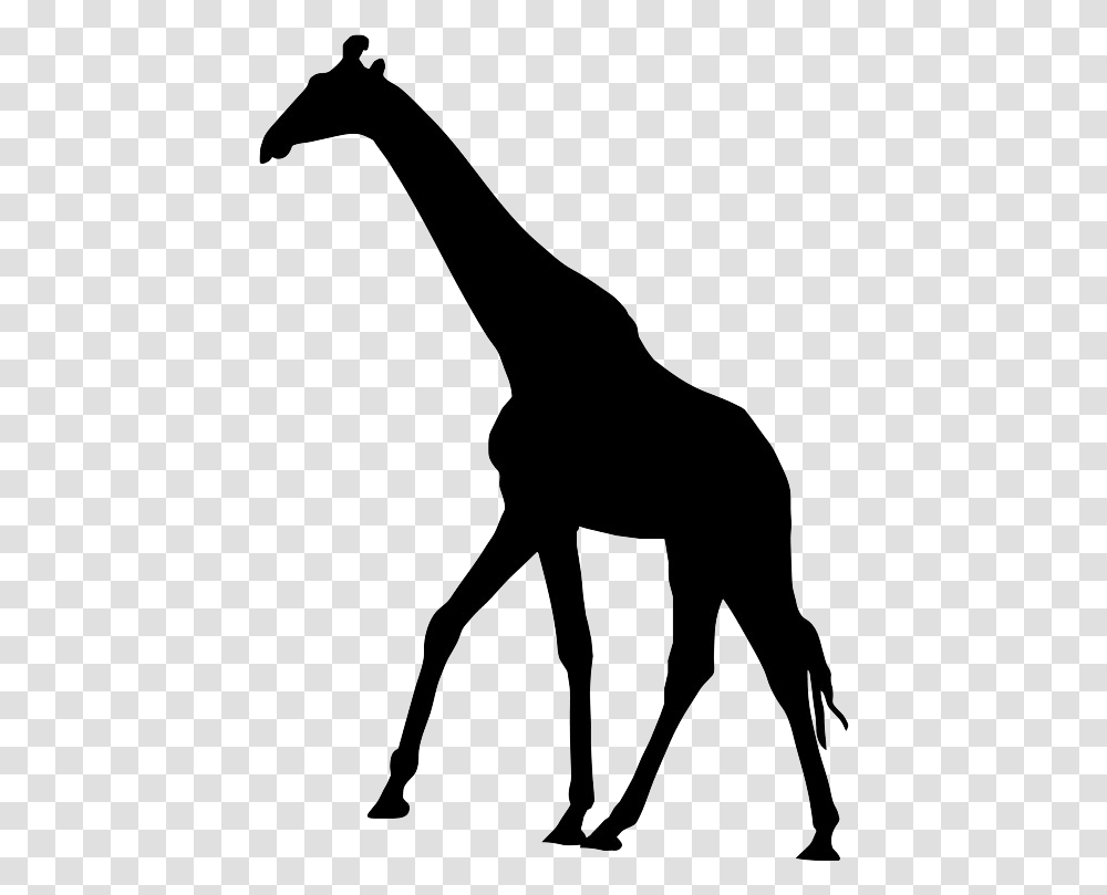 Elephant And Giraffe Cards Download Silhouette Giraffe Clipart, Mammal, Animal, Wildlife, Horse Transparent Png