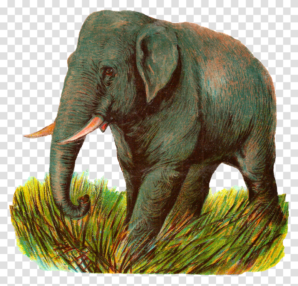 Elephant Asian Image Animal Illustration Digital Clipart Indian Elephant, Wildlife, Mammal Transparent Png
