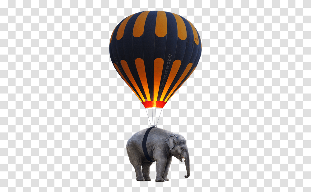 Elephant Balloon, Hot Air Balloon, Aircraft, Vehicle, Transportation Transparent Png