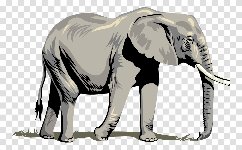 Elephant Clip Art Look, Wildlife, Mammal, Animal, Person Transparent Png