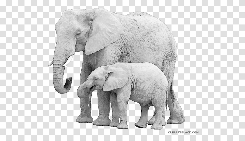 Elephant Clipart Baby Animal, Wildlife, Mammal Transparent Png