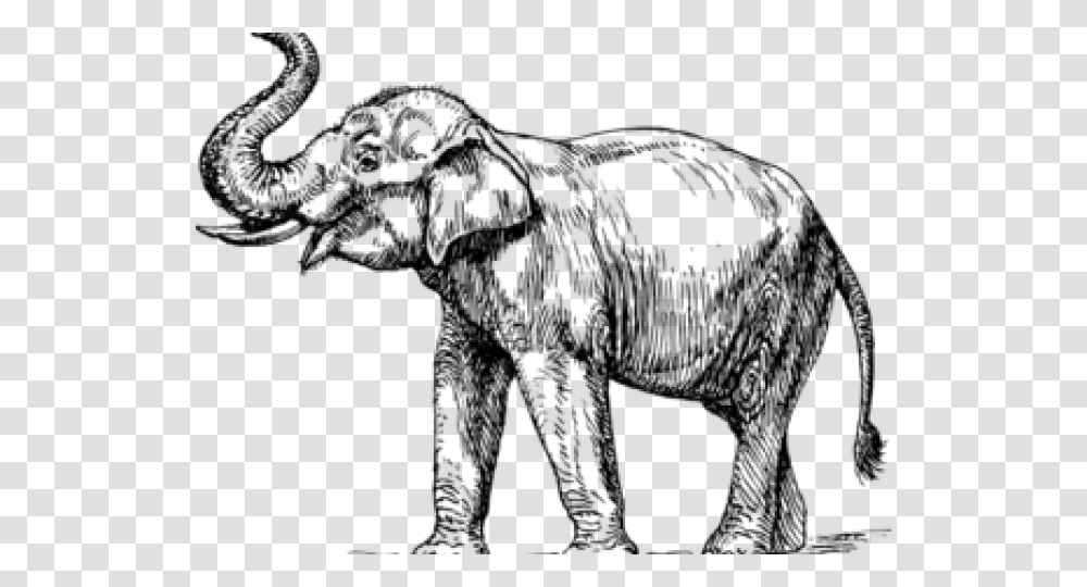 Elephant Clipart Elephants Drawing, Gray, World Of Warcraft Transparent Png