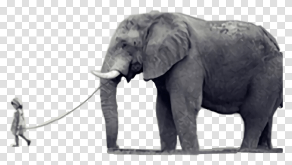 Elephant Elefante Freetoedit, Wildlife, Mammal, Animal Transparent Png