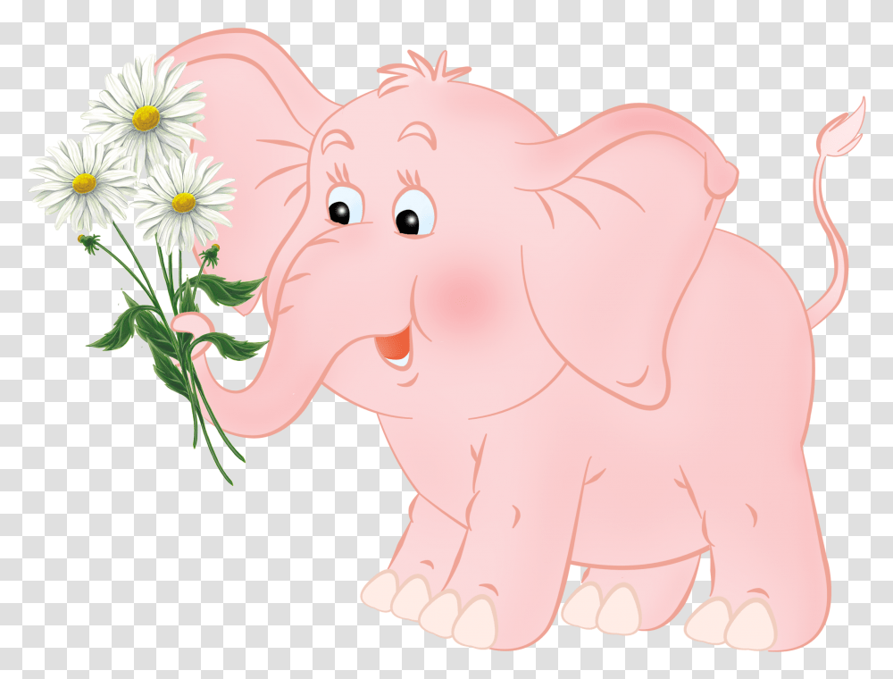 Elephant Flowers Cartoon, Plant, Daisy, Daisies, Blossom Transparent Png