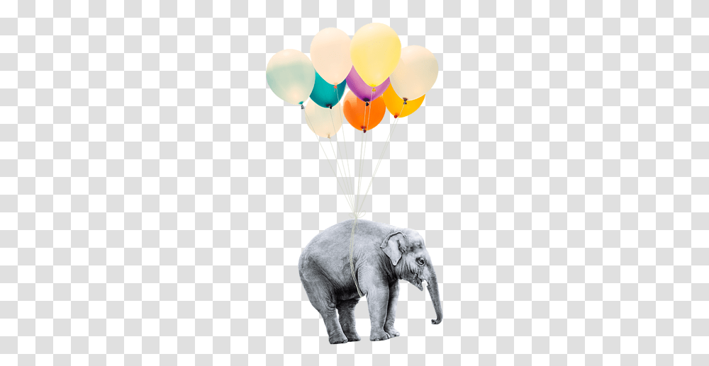 Elephant Flying On Balloons, Wildlife, Mammal, Animal, Parachute Transparent Png