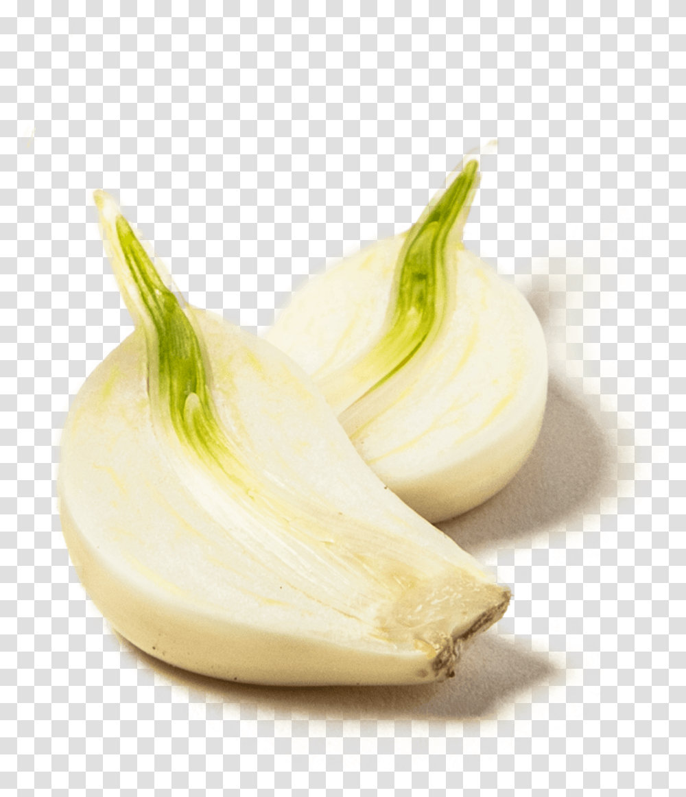 Elephant Garlic, Plant, Vegetable, Food, Banana Transparent Png