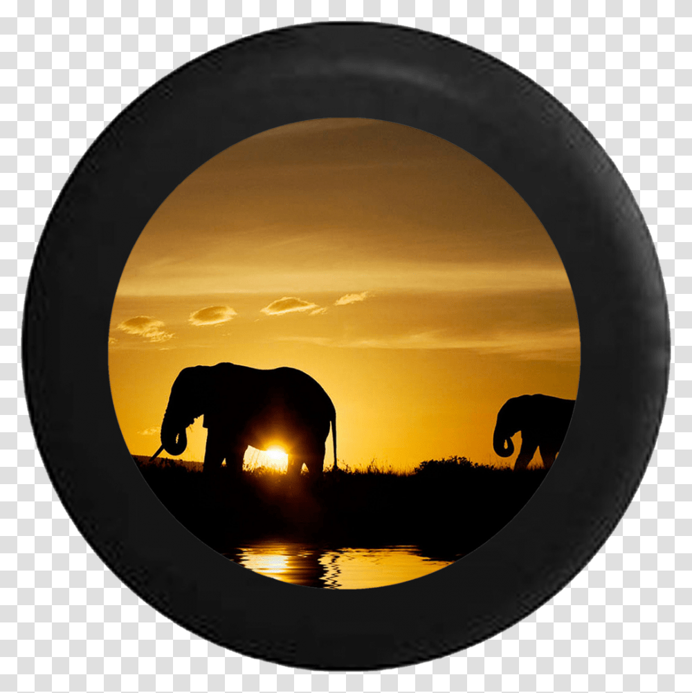 Elephant Hd Yellow Background, Mammal, Animal, Window, Wildlife Transparent Png