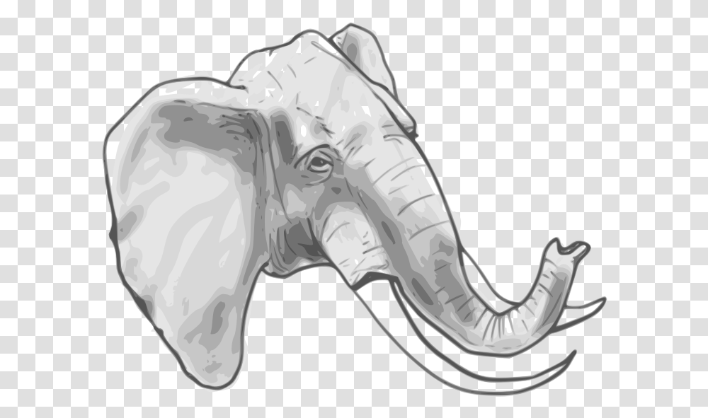 Elephant Head Colouring, X-Ray, Medical Imaging X-Ray Film, Ct Scan Transparent Png