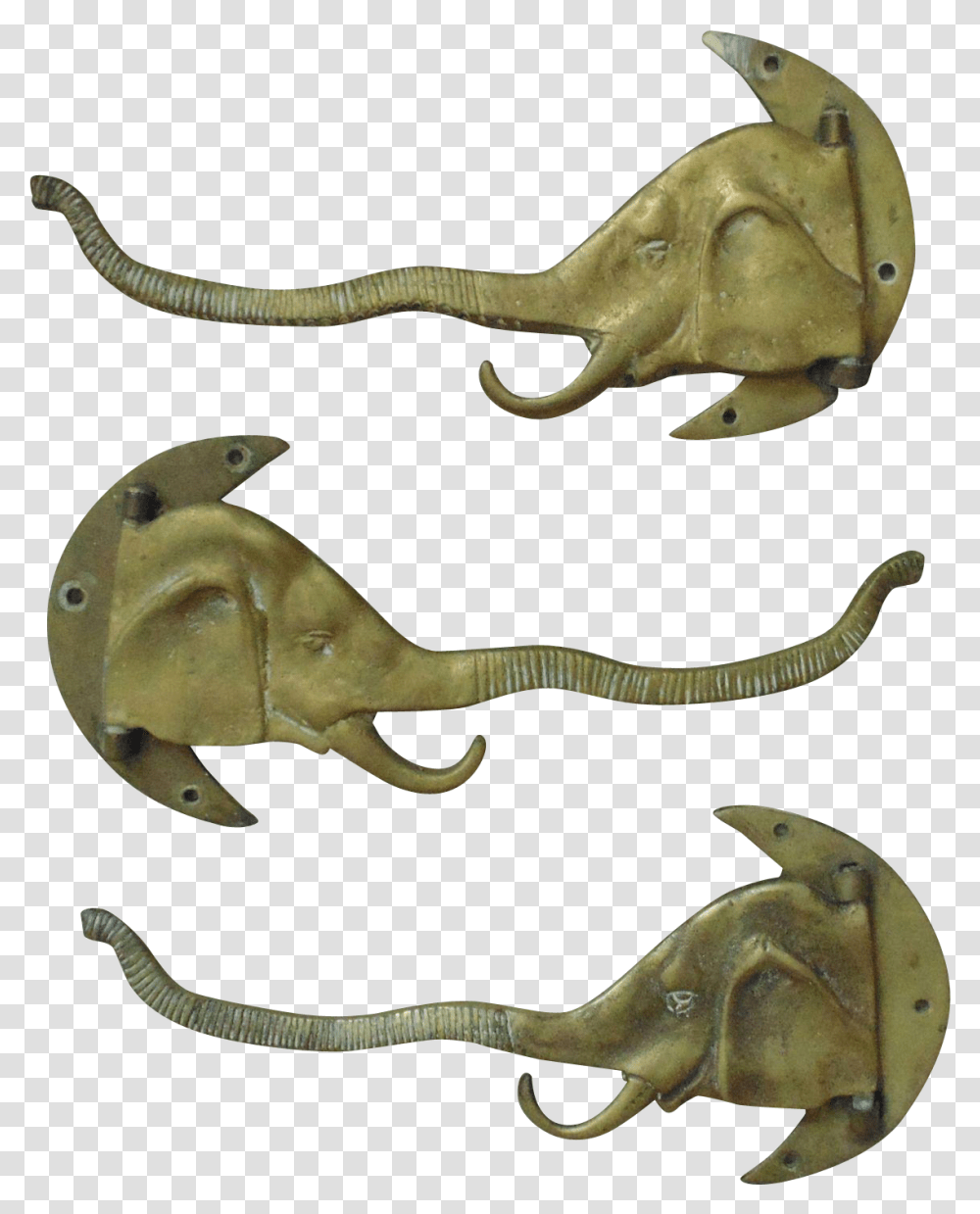 Elephant Head Indian Elephant, Lizard, Reptile, Animal, Snake Transparent Png