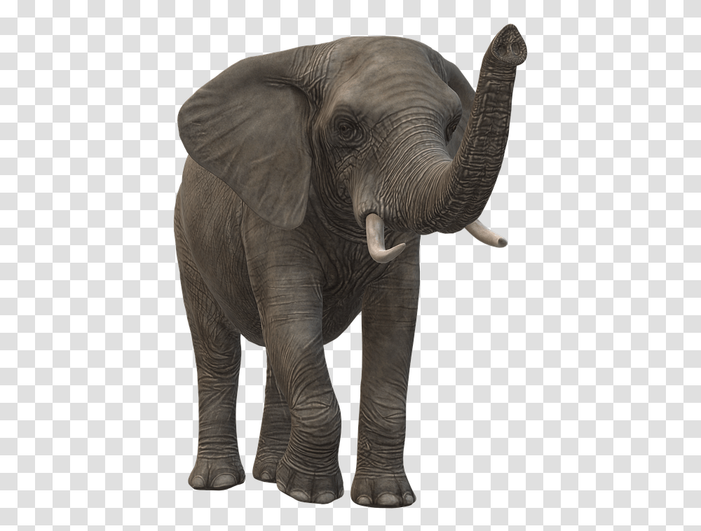 Elephant Icon Animal Figure, Wildlife, Mammal Transparent Png