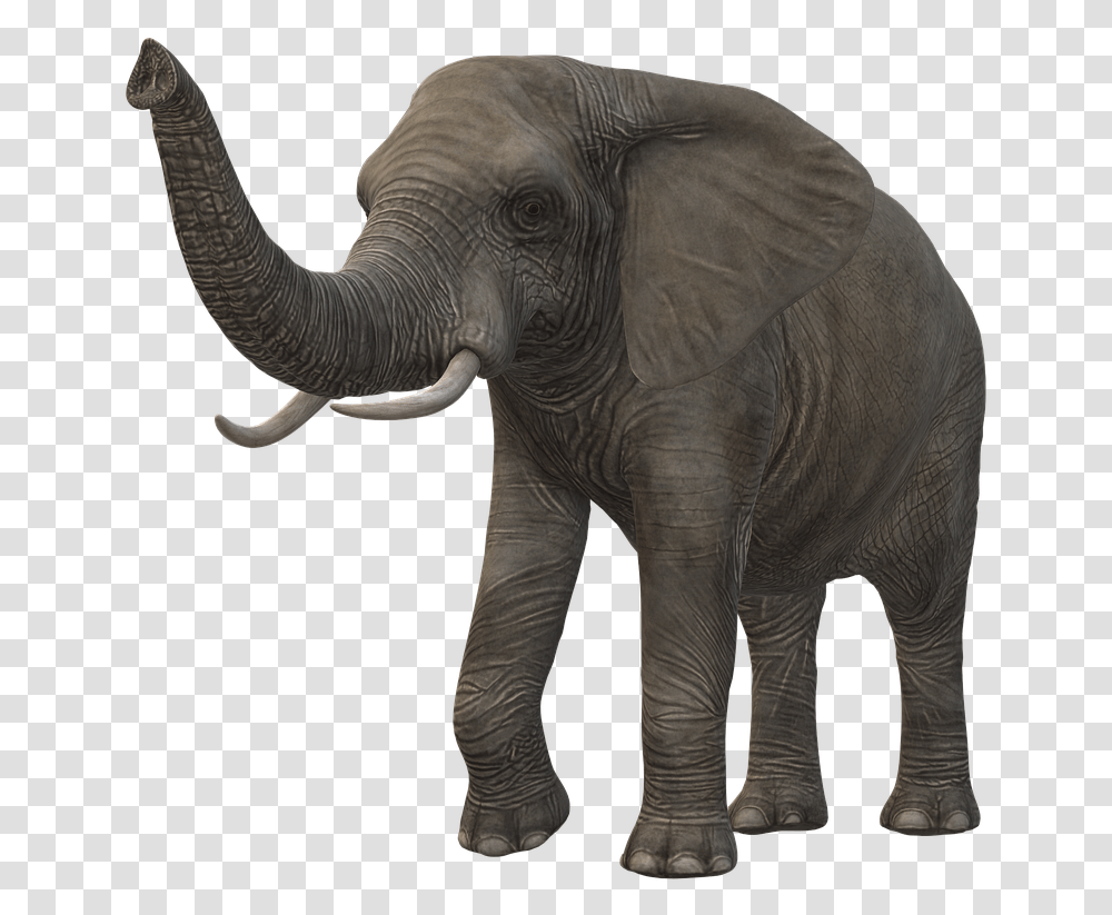 Elephant Icon Animal Figure, Wildlife, Mammal Transparent Png