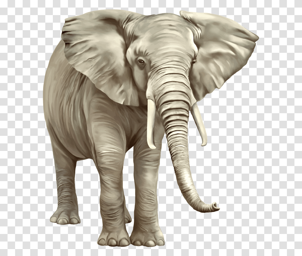 Elephant Image Newspaper Watercolor, Wildlife, Mammal, Animal, Ivory Transparent Png
