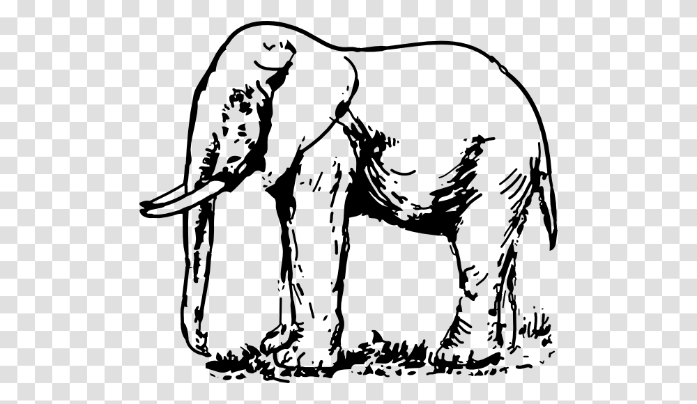 Elephant Images Black And White, Wildlife, Mammal, Animal Transparent Png