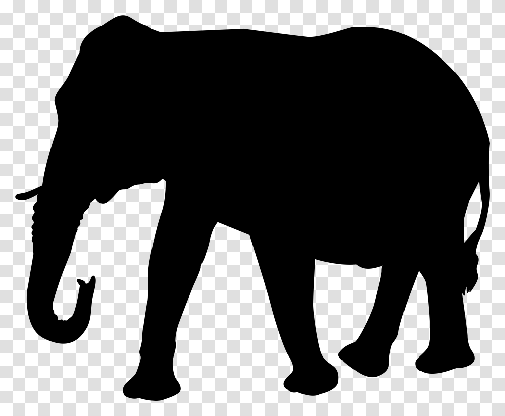 Elephant Indian Elephant, Nature, Outdoors, Night, Astronomy Transparent Png