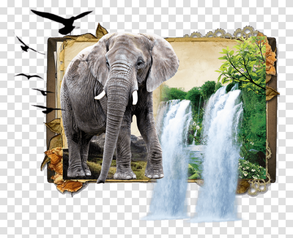 Elephant Jungle Book Dk925 Dk925designs Book Background Vintage Paper, Wildlife, Mammal, Animal, Water Transparent Png