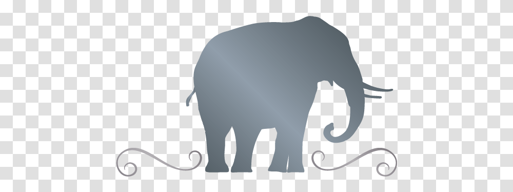 Elephant Logo Templates Brand, Mammal, Animal, Wildlife, Aardvark Transparent Png