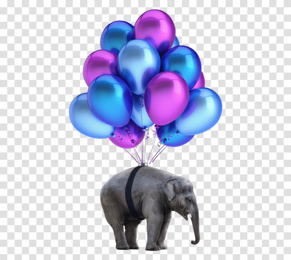 Elephant Nobackground Balloons 18 Balloons For Debut, Wildlife, Mammal, Animal Transparent Png