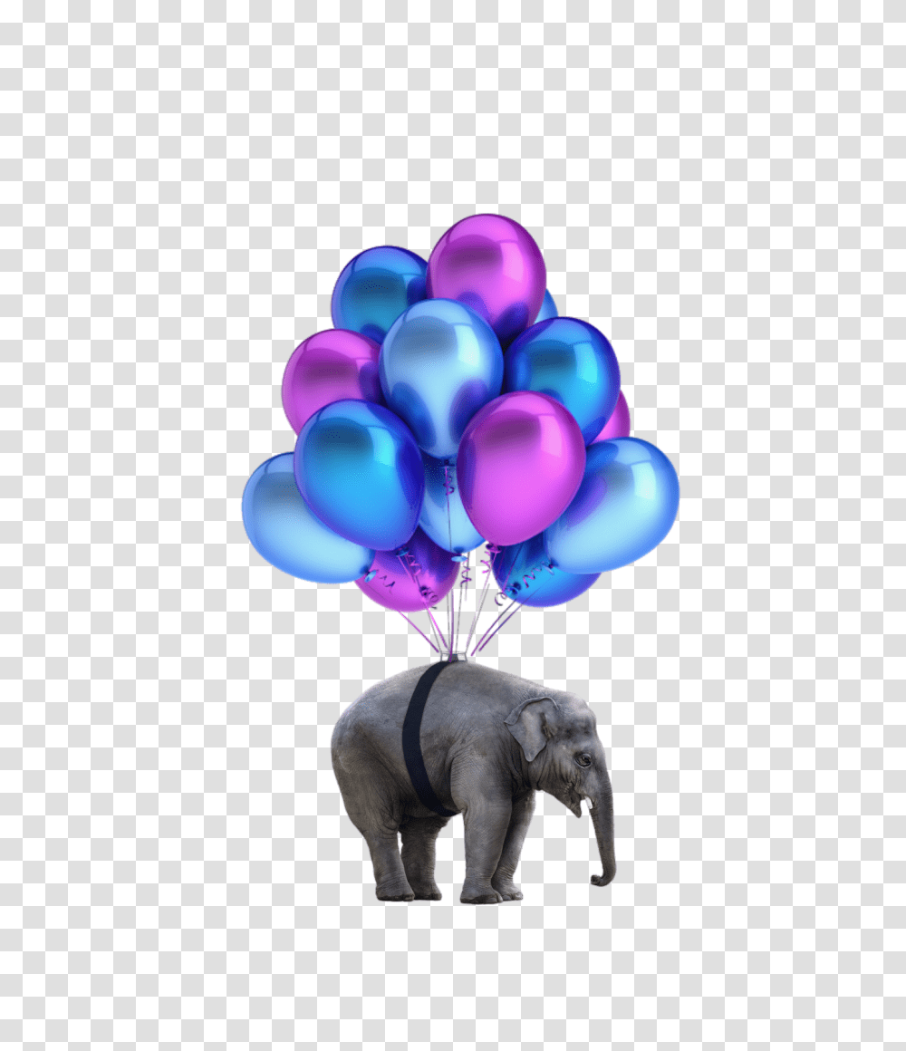 Elephant Nobackground Balloons Transparent Png