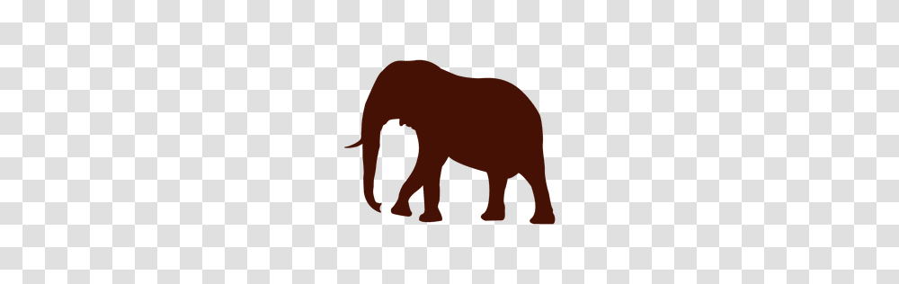 Elephant Or To Download, Mammal, Animal, Wildlife, Buffalo Transparent Png