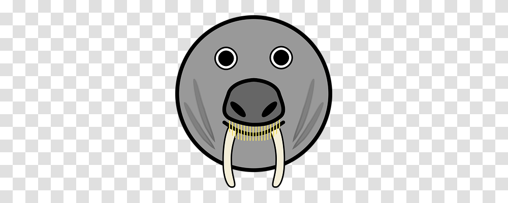 Elephant Seal Emotion, Disk, Head, Animal Transparent Png