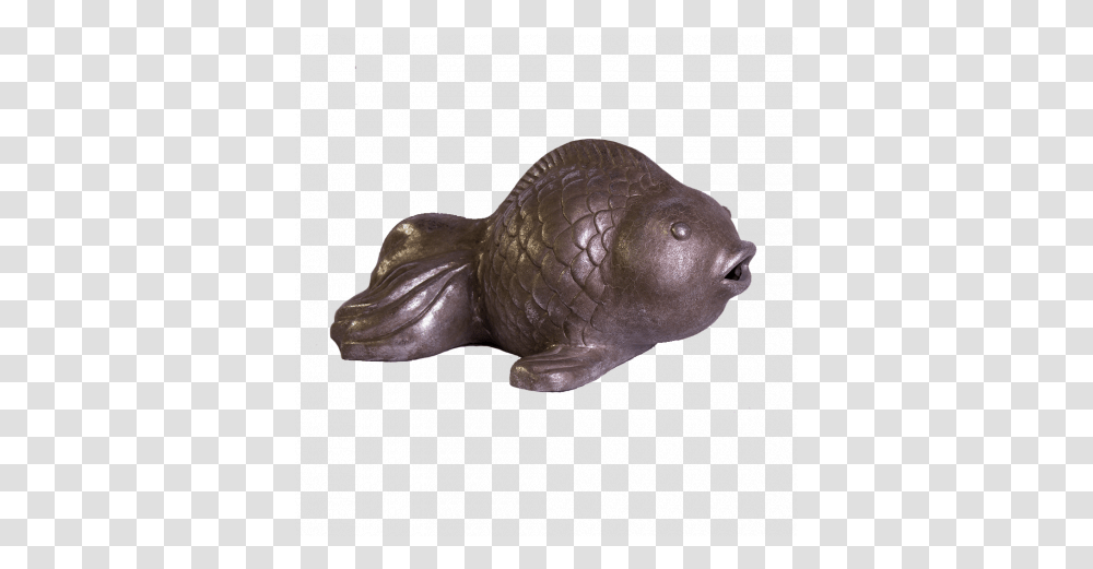 Elephant Seals, Aquatic, Water, Figurine, Animal Transparent Png