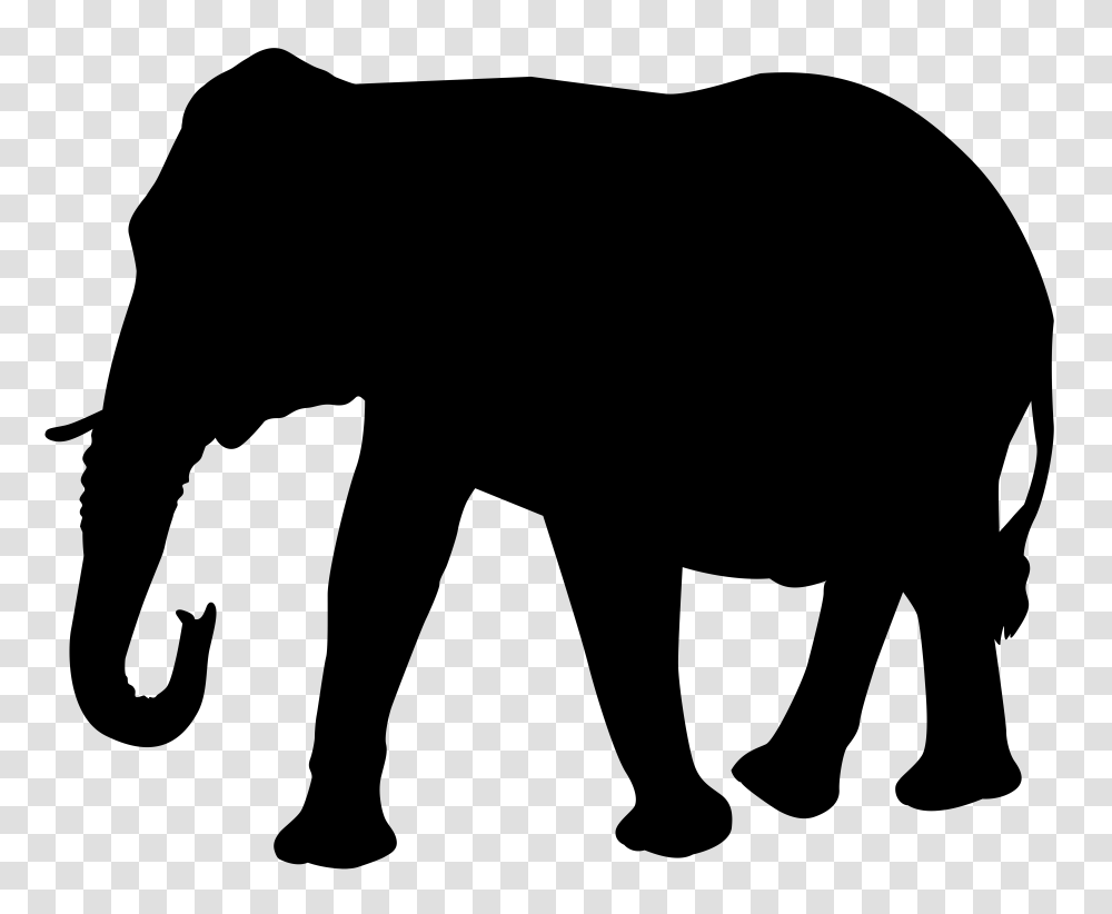 Elephant Silhouette Clipart Transparant Background, Face, Photography Transparent Png