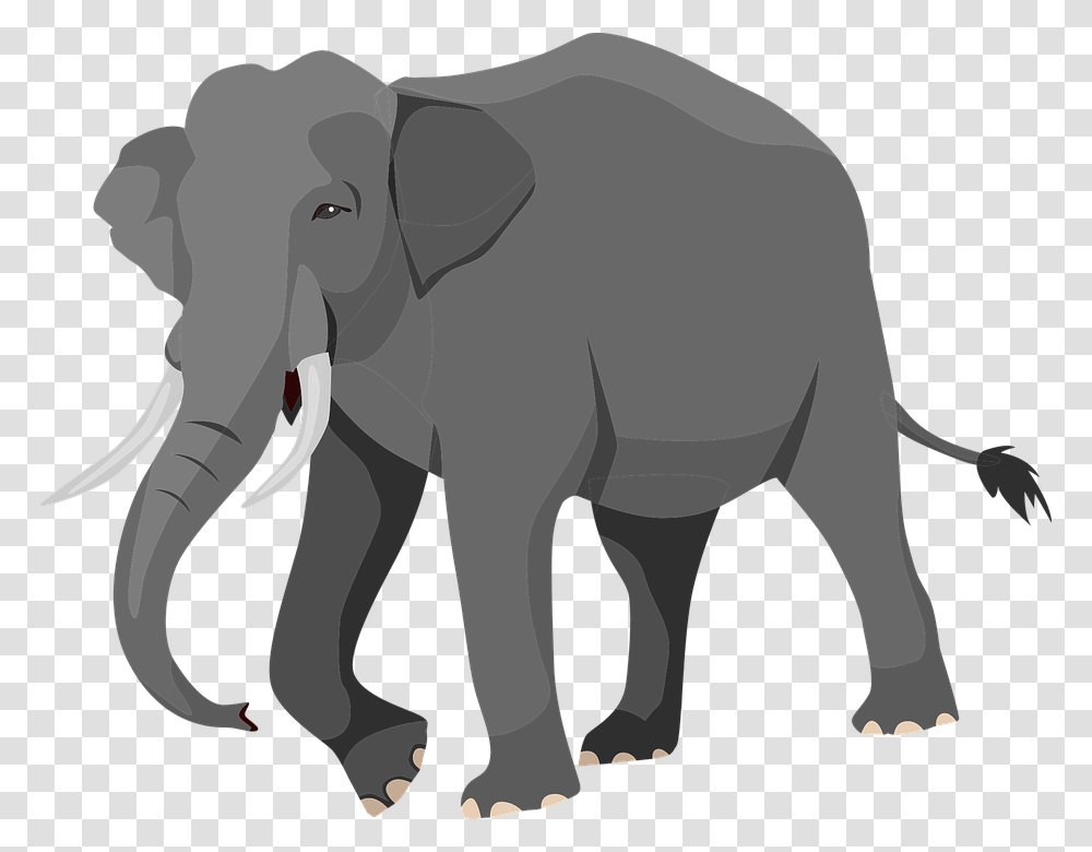 Elephant Silhouette, Wildlife, Mammal, Animal Transparent Png