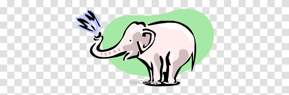 Elephant Squirting Royalty Free Vector Clip Art Illustration, Wildlife, Animal, Mammal, Aardvark Transparent Png