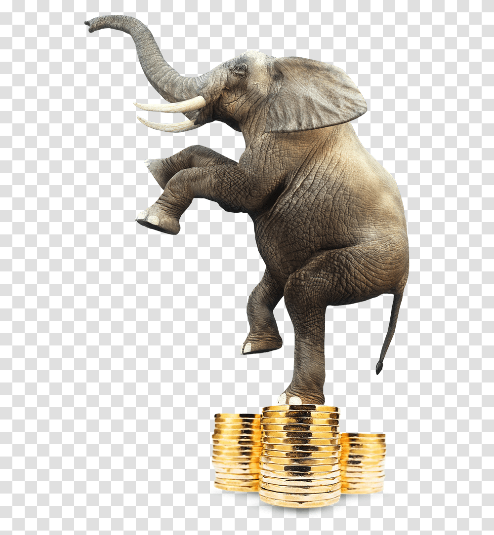 Elephant Standing On A Pile Of Coins, Wildlife, Mammal, Animal, Dinosaur Transparent Png