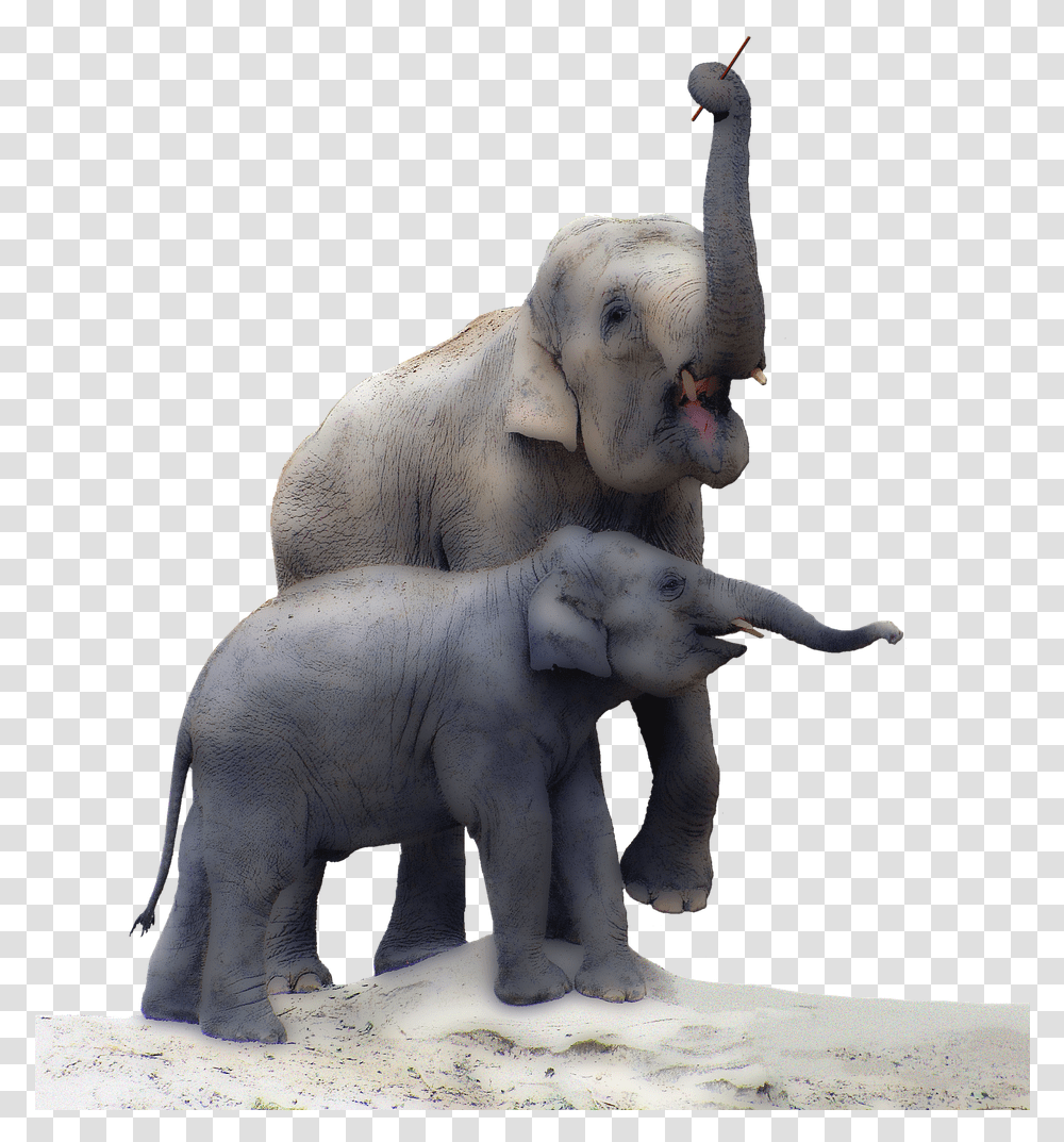 Elephant Trunk Elephant Real, Animal, Wildlife, Mammal, Statue Transparent Png