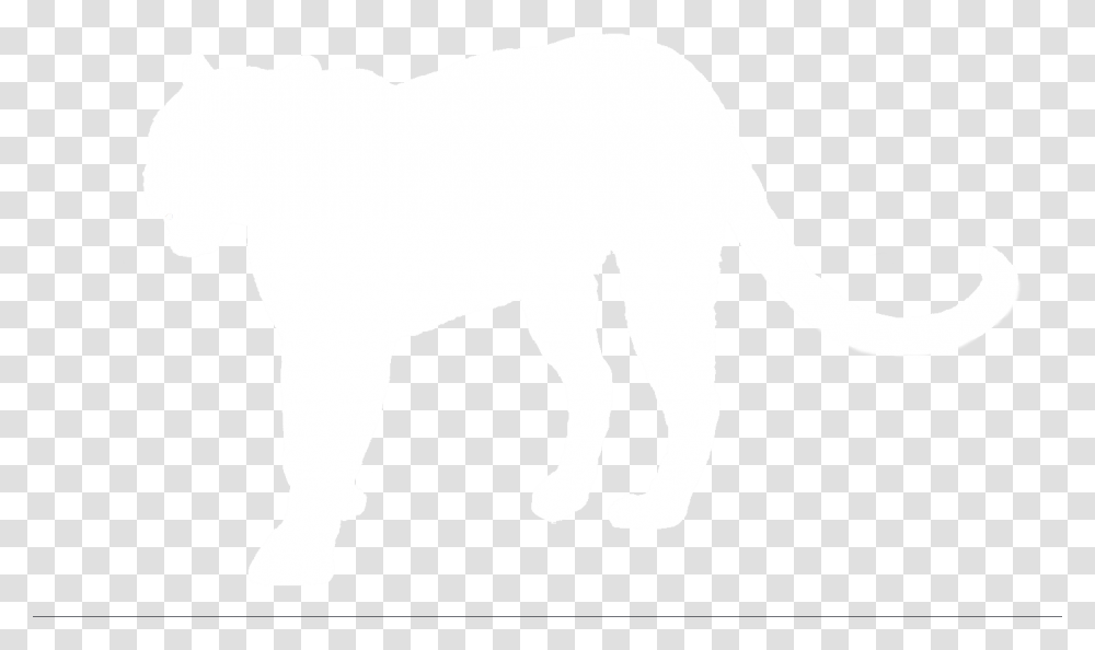 Elephant, White, Texture, Apparel Transparent Png