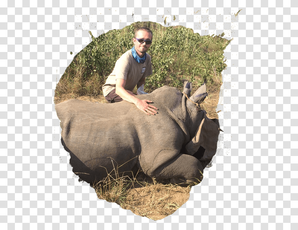 Elephant Wild Animals African Wild, Person, Human, Sunglasses, Accessories Transparent Png