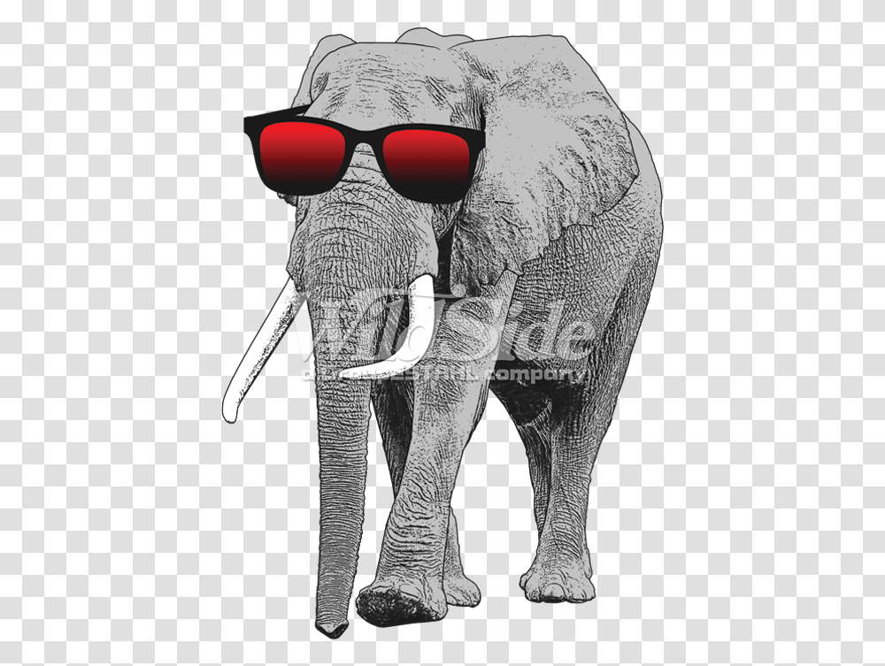 Elephant With Sun Glasses Elephant With Sunglasses, Accessories, Accessory, Wildlife, Animal Transparent Png