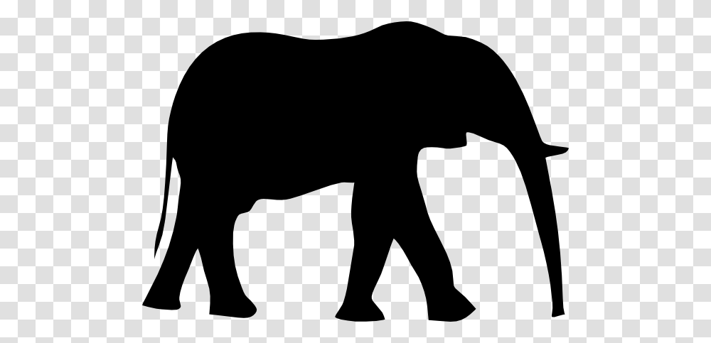 Elephants, Animals, Silhouette, Person, Human Transparent Png