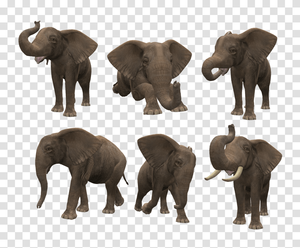 Elephants, Animals, Wildlife, Mammal, Herd Transparent Png