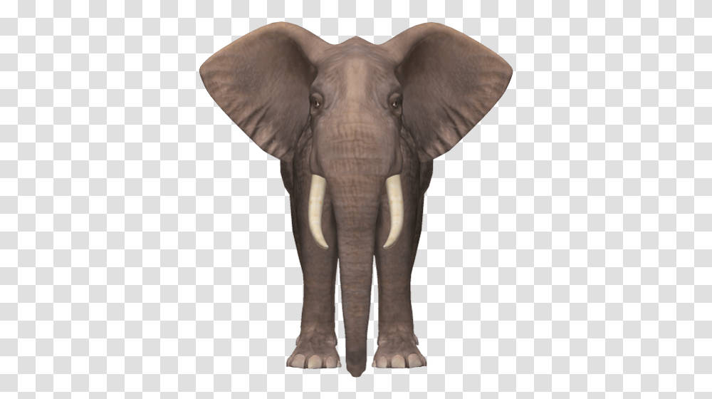 Elephants, Animals, Wildlife, Mammal Transparent Png