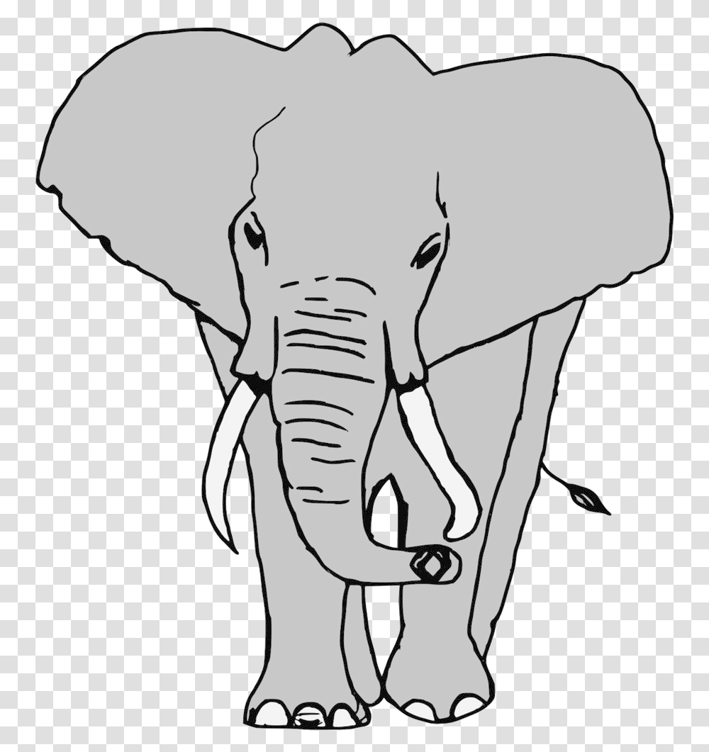 Elephants Background Elefante, Wildlife, Mammal, Animal Transparent Png