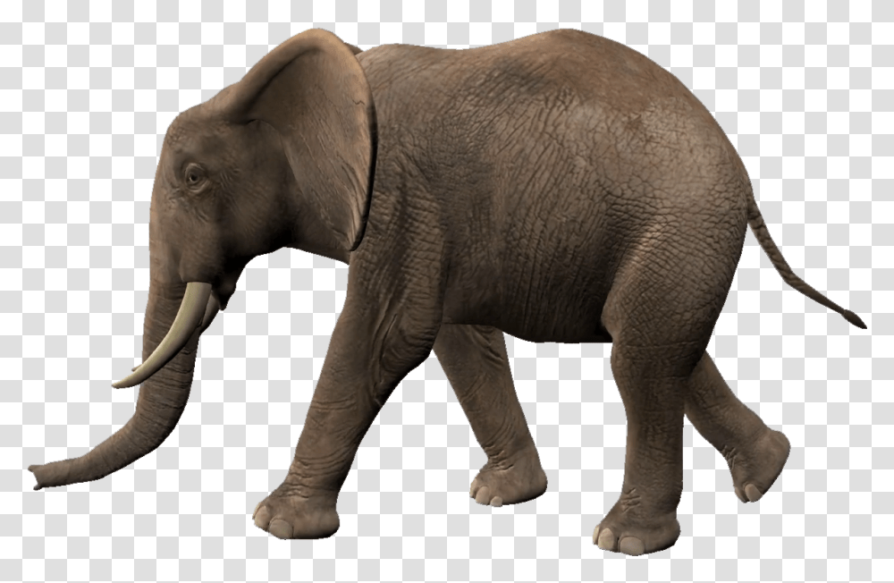 Elephants Image Elephant Walking Animation, Wildlife, Mammal, Animal Transparent Png